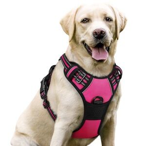 New Pink Dog Harness With Leash
